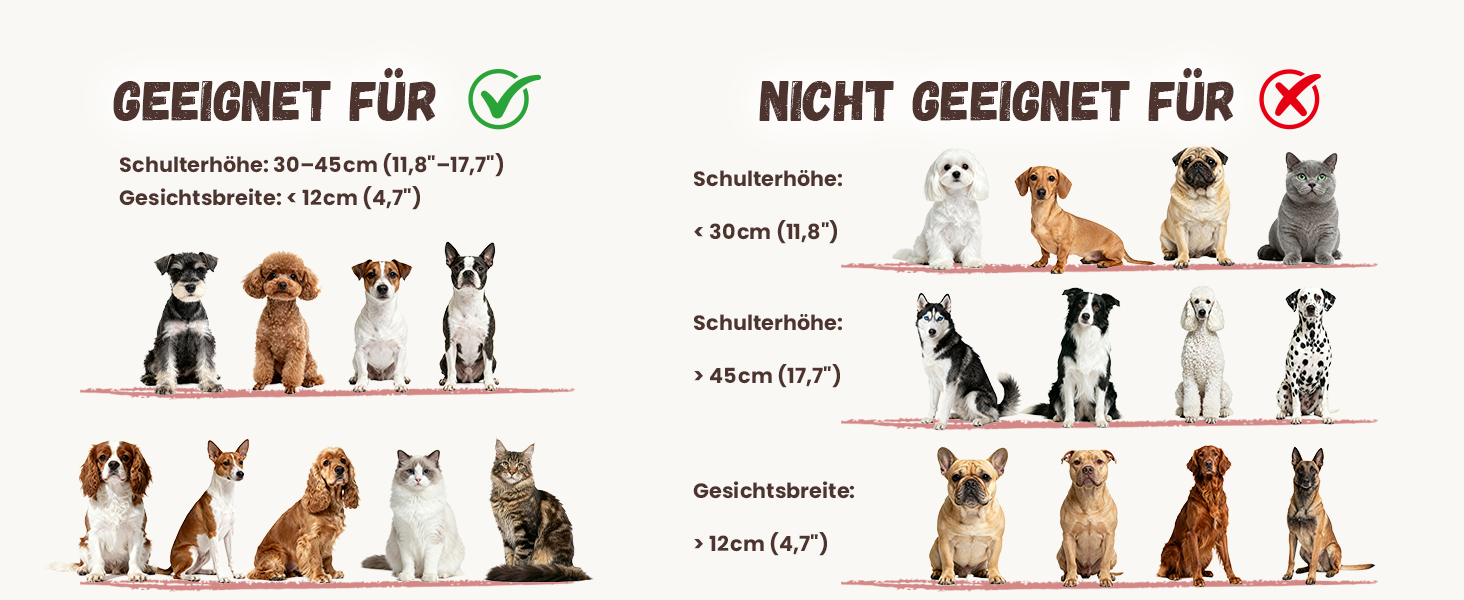 Керамічна годівниця для собак на підставці з нержавіючої сталі - подвійна годівниця для маленьких та середніх собак, антиковзаюча, для корму та води, 350г/660мл, 15см, блакитна