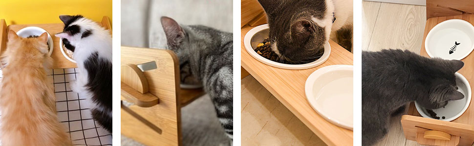 Миска для котів, піднята керамічна миска для котів та маленьких собак, набір мисок для котів та собак, миски для котів (включно зі стійкою)