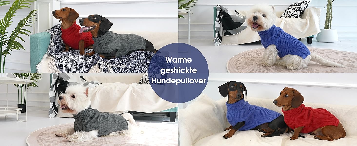 Теплий та м'який пуловер для собак Queenmore | Turtleneck для Corgi, Beagle, Французького бульдога, Шнауцера, Такси | Розмір L, Колір блакитний