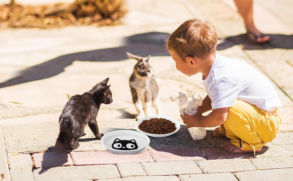 Набір мисок для котів на 6 місць - 6 мисок з кераміки та підставки, широкі миски для котів, що зменшують подразнення вусів, плоскі миски для кошенят та дрібних тварин