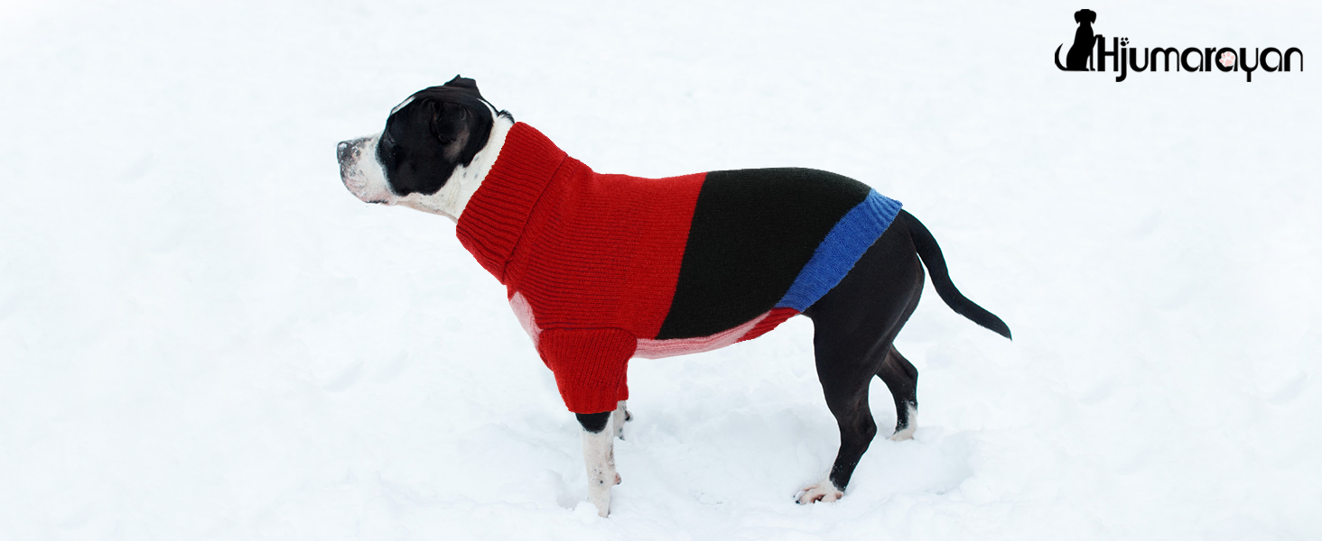 Вовняний пуловер для собак Hjumarayan, вінтажний стиль, отвір для повідка, блоковий колір, пуловер з коміром-стійкою для маленьких собак, теплий, червоний S