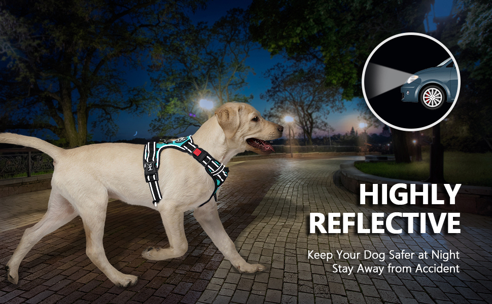 Шлейка для собак PoyPet, без тяги, без блювоти, світловідбиваюча, з 2 карабінами, регульована, м'яка, з простим контролем, для собак різних розмірів (розмір S, блакитна)