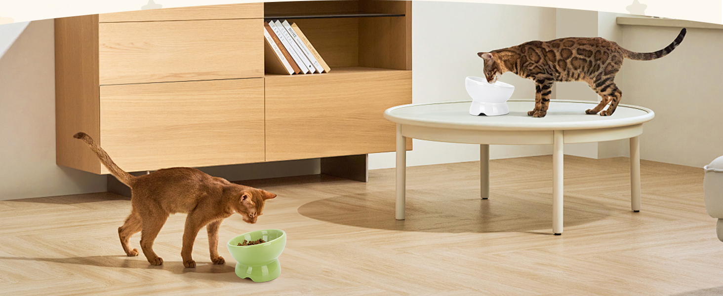 Набір мисок для котів Nobleza (2 шт) з кераміки, нахил 15°, проти блювоти, для корму та води, підходить для котів та маленьких собак, білий колір