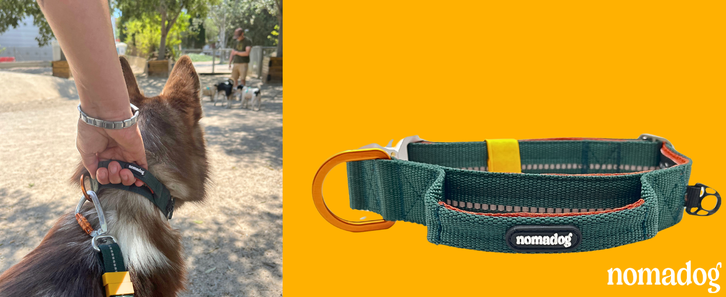 Нашийник для собак Nomadog Trailblazer з ручкою для великих собак - преміум алюмінієва застібка, міцний тактичний нашийник, регульований, з підкладкою, світловідбиваючий (L)