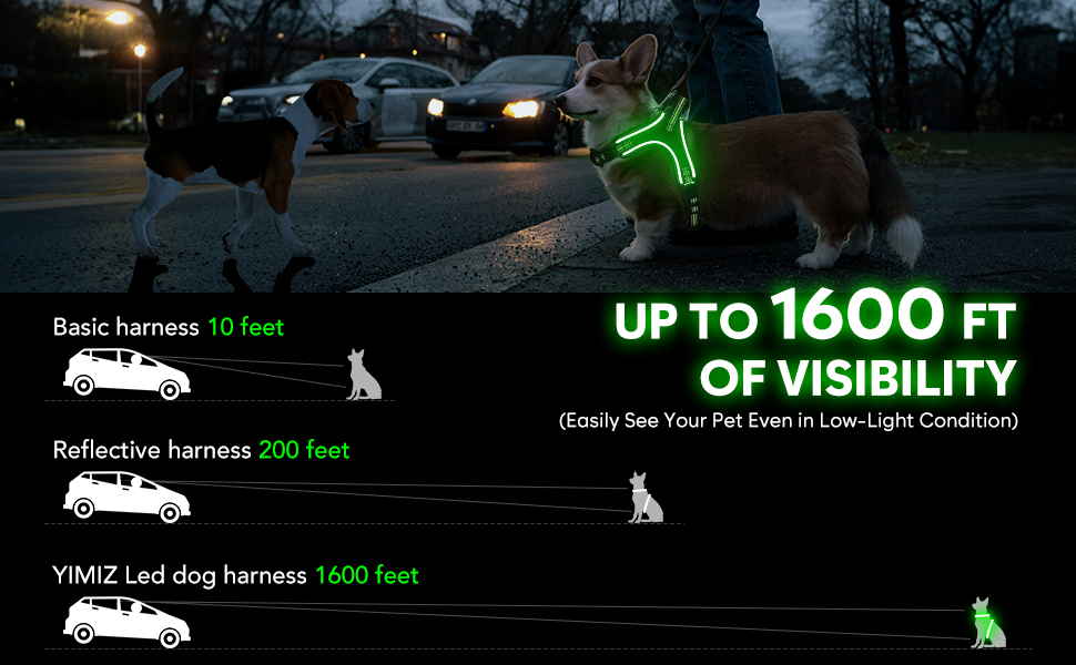 Світлодіодне обіднє світловідбиваючий нашийник для собак з ручкою, перезаряджається, для безпеки вночі, середніх та маленьких собак (L, Зелений)