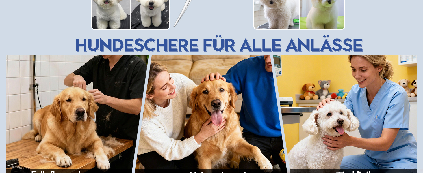 Ножиці для грумінгу собак та котів Dream Reach 6.5 дюймів, вигнуті, з японської сталі 440C, фіолетовий колір