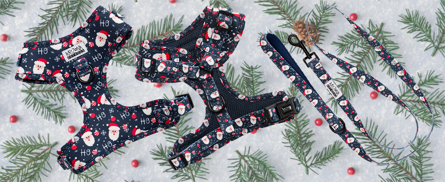 Нашийник для собак на Різдво (S) Hohoho | М'який нашийник Arizona Hotdogs | Леєчка нейлон 1,5м | Різдвяний нашийник для маленьких собак