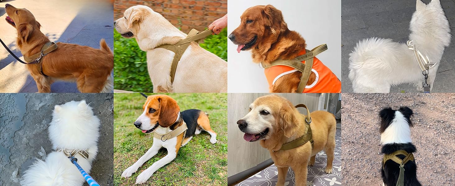 Шлейка для собак, анти-тяга, світловідбиваюча, для середніх та великих собак, регульована, м'яка, дихаюча, для прогулянок та бігу (L) (Style2-M)