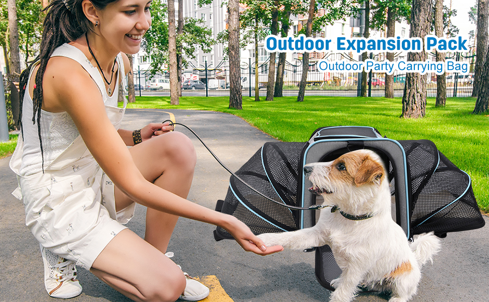 Транспортна сумка для котів та собак PETCUTE, складана переноска для тварин з підкладкою, шлейкою, дихаюча сумка для автопоїздок, чорно-помаранчевий колір