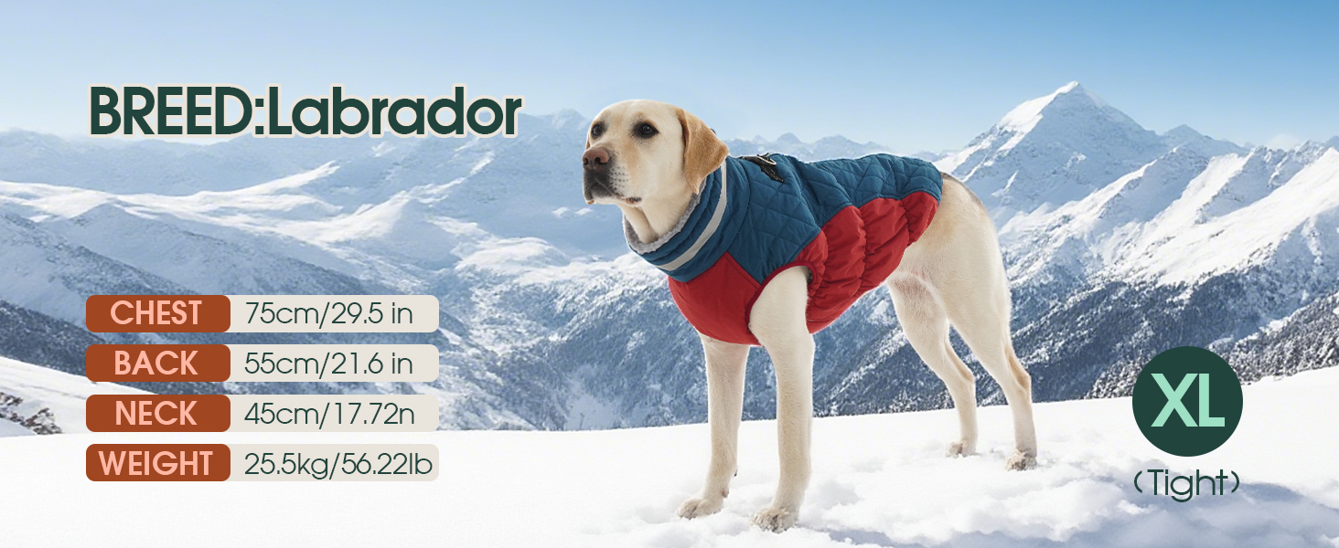 Водонепроникна куртка для собак великих порід Kuoser, тепла зимова жилетка для собак, чорна, XL