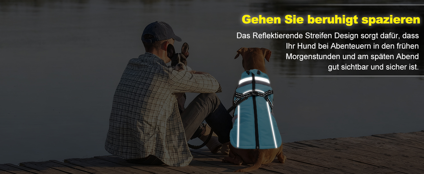 Теплий зимовий одяг для собак FeimaX: флісова куртка з блискавкою, захист від вітру та вологи, для маленьких та середніх собак (Блакитний, L)