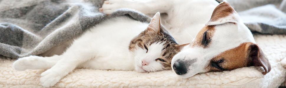 Будиночок для котів Relaxdays, складаний, м'який, для котів і малих собак, 44x48x45 см, внутрішній, бежевий