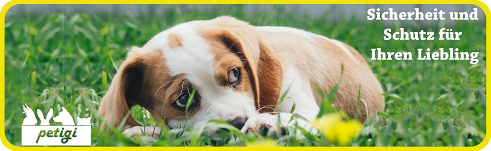 Вольєр для цуценят Petigi Tierlaufstall: безпечний простір для вигулу 80x80 см