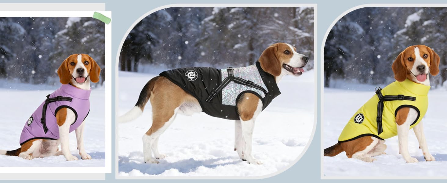 Водонепроникний теплий жилет для собак Французького бульдога, жилет для собак з кріпленням для шлейки, різні розміри, фіолетовий, розмір 10 (обхват грудей 31-36 см)