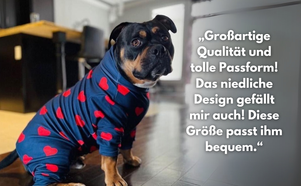 Піжама для собак Spark Paws з м'якого 4-х сторонного матеріалу, для відновлення після операції, спальний костюм-комбінезон для малих, середніх та великих собак, серця, розмір 2XL (16-25 кг)