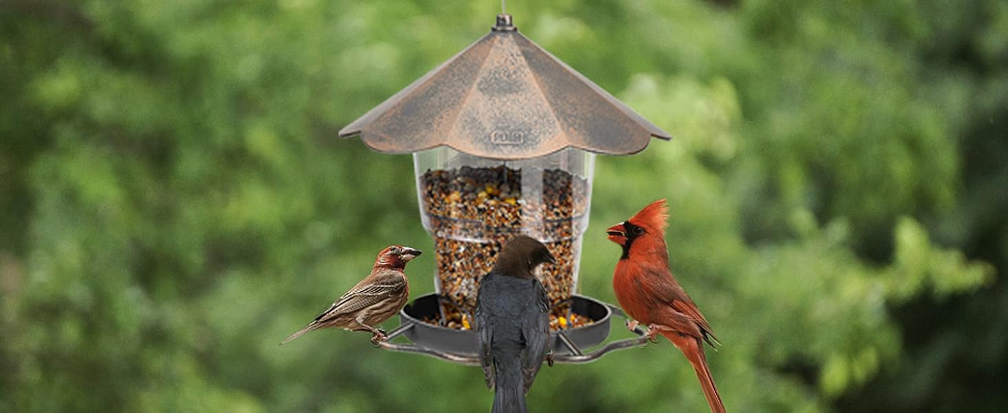 Годівниця для птахів Sanoto, підвісна, складна, вологостійка, для балкона та саду, золота