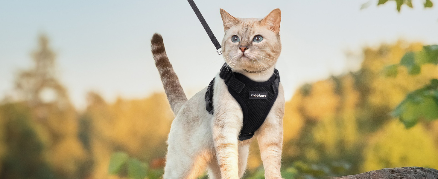 Шлейка для кота Rabbitgoo з повідком, чорна, м'яка, для котів, шлейка-жилет, безпечна, регульована, чорна, M (1 шт.)
