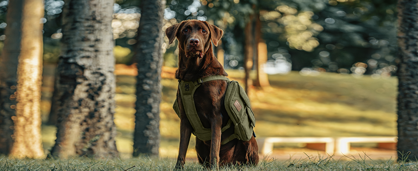 Шлейка для собак OneTigris з рюкзаком, Hoppy Camper 3.0, для кемпінгу та піших прогулянок, зелена, L