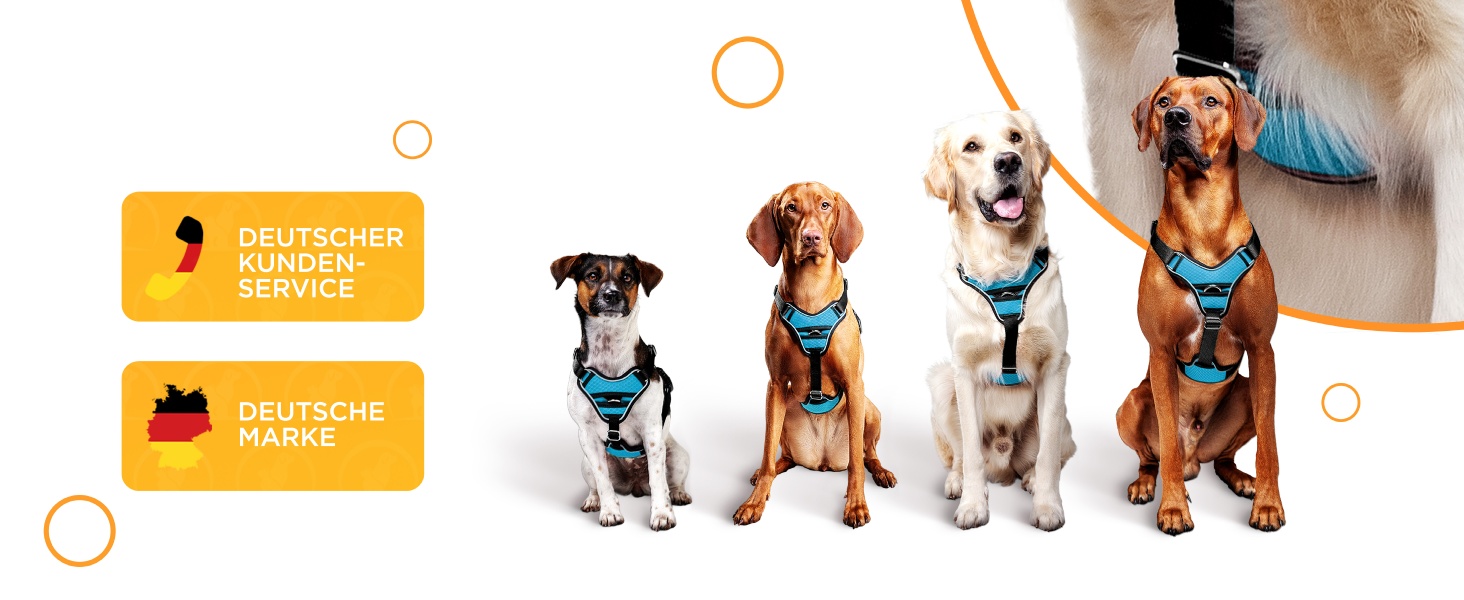 Шлейка для собак відбиваюча, з м'якою підкладкою, для собак маленьких та великих порід, синього кольору. Анти-тяга, регульована.