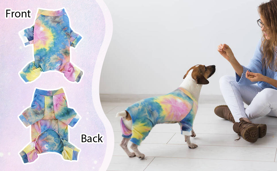 Зимовий теплий жилет для собак, куртка-комбінезон на 4 лапи, вітронепроникний одяг для собак, жилет, куртка, одяг для собак, сорочка для маленьких, середніх та великих собак (Райдуга, M)