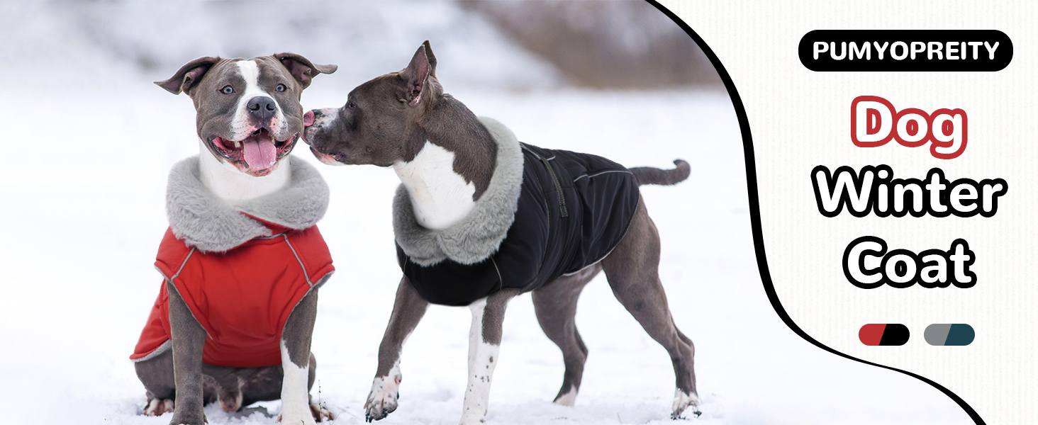 Водонепроникний зимовий одяг для собак, тепла вітрозахисна куртка для собак, антисні захисний костюм для мисливських собак (червоний, XL) XL B-Red