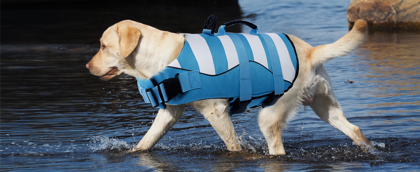 Спасальний жилет для собак, блакитний, розмір S, для джек-рассел, чихуахуа, французький бульдог, лабрадор - ASENKU