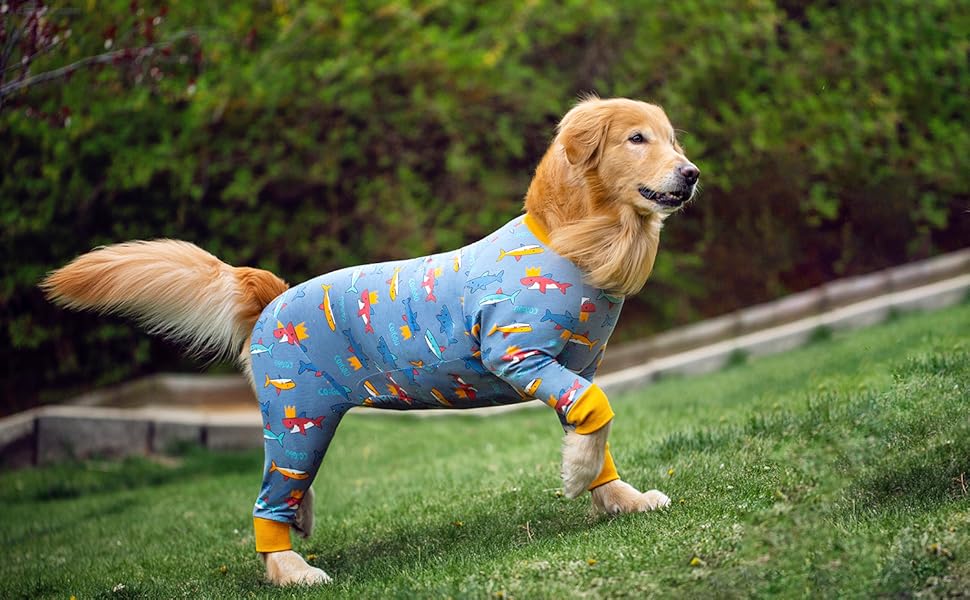 Реабілітаційний одяг для собак після операцій, м'який, з довгими рукавами, для собак, що кастрували, конічні альтернативи, запобігає протіканню, хірургічний комбінезон для великих та середніх (XL, Hai) собак, розмір XL