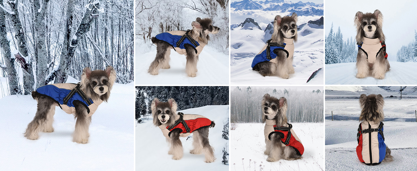Водонепроникний одяг для собак: теплий зимовий одяг, жилет, куртка для маленьких, середніх та великих собак