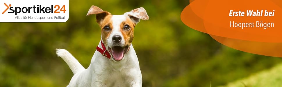 SPORTIKEL24 Superhund Hoopers Hoop – іграшка для аджиліті собак, кільця для хоперс, пластик, блакитна основа з кольоровими арками, VDH-сертифікована, гнучка, стійка до погодних умов (блакитний/жовтий)