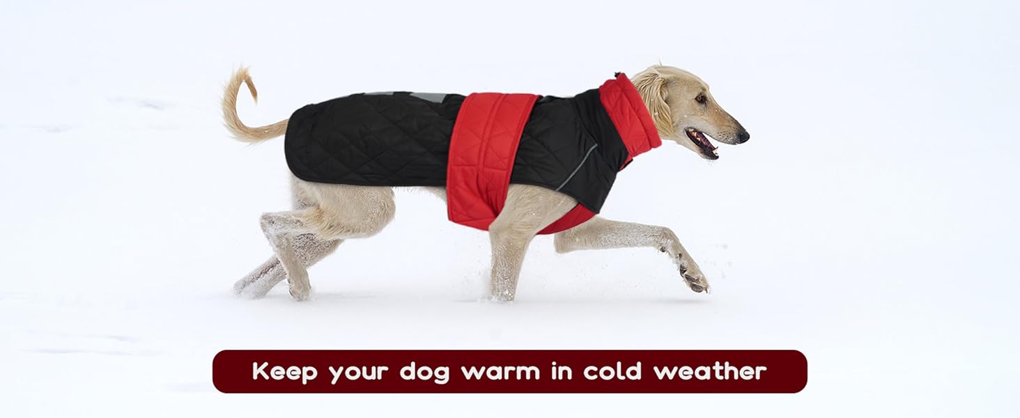 Зимовий теплий дощовик для собак Віндхунд (Whippet) - червоний, з відбиваючими смугами