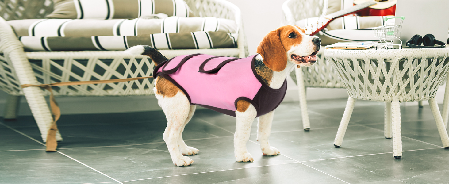 Піжама для собак після операції ASENKU: захист від лизання, альтернатива конусу, рожева, M