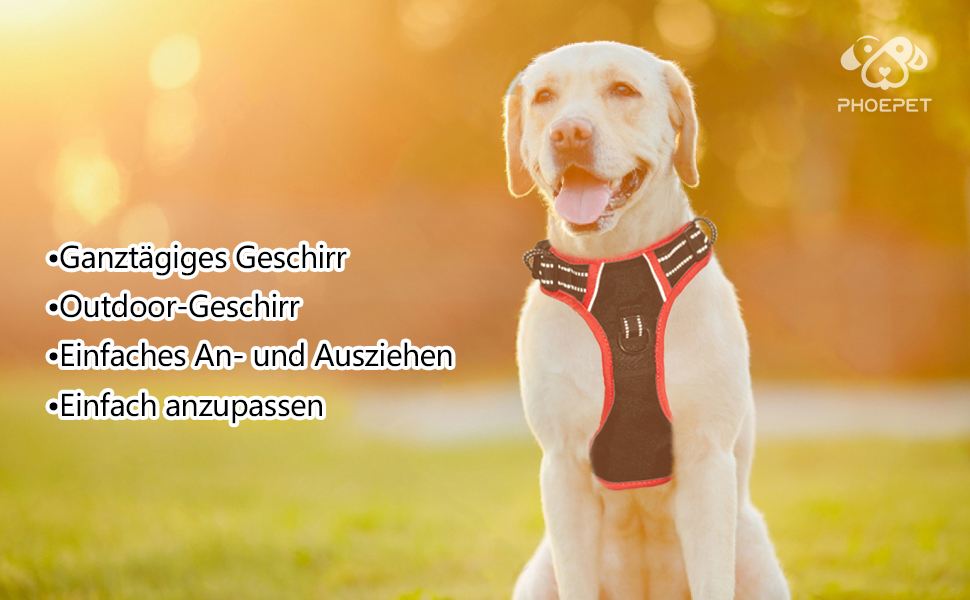 Шлейка безпеки для собак середніх та великих порід PHOEPET з м'якою ручкою та світловідбиваючими елементами (Чорний, M)