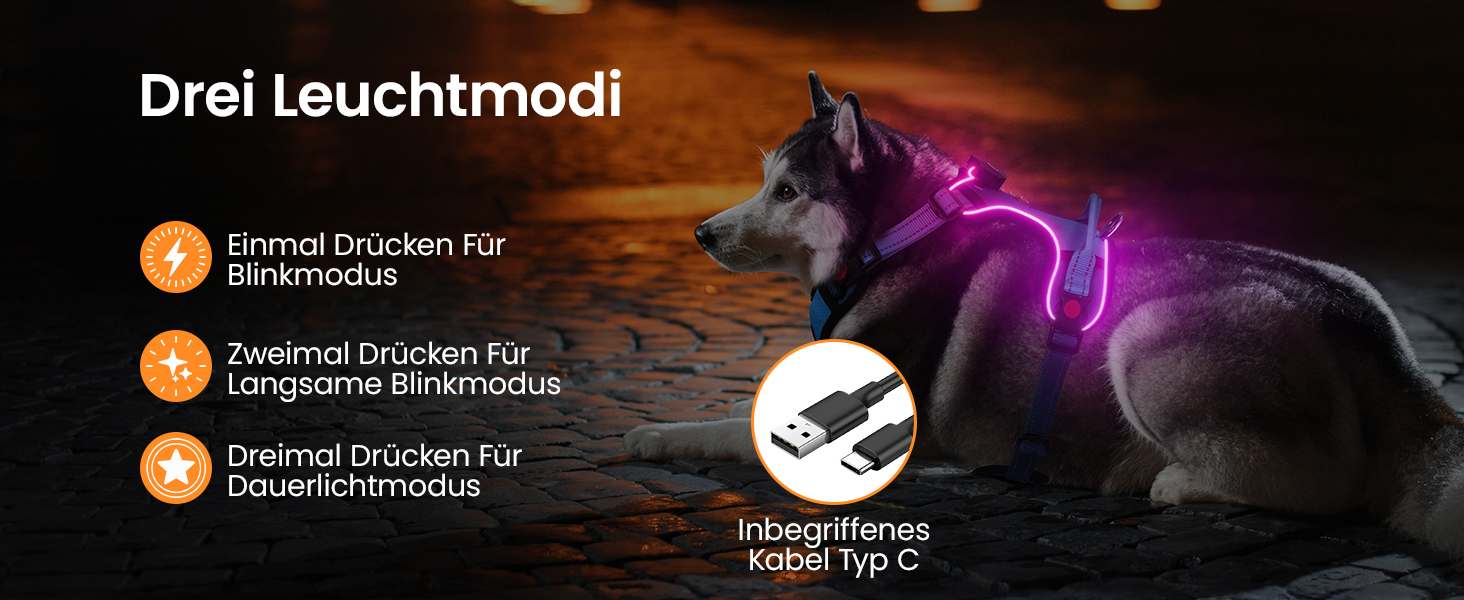 DAISTERN BSWAY LED шлея для собак M, з ручкою, акумуляторна, з підсвіткою, 3 режими миготіння, світловідбиваючі смуги, для малих і середніх порід