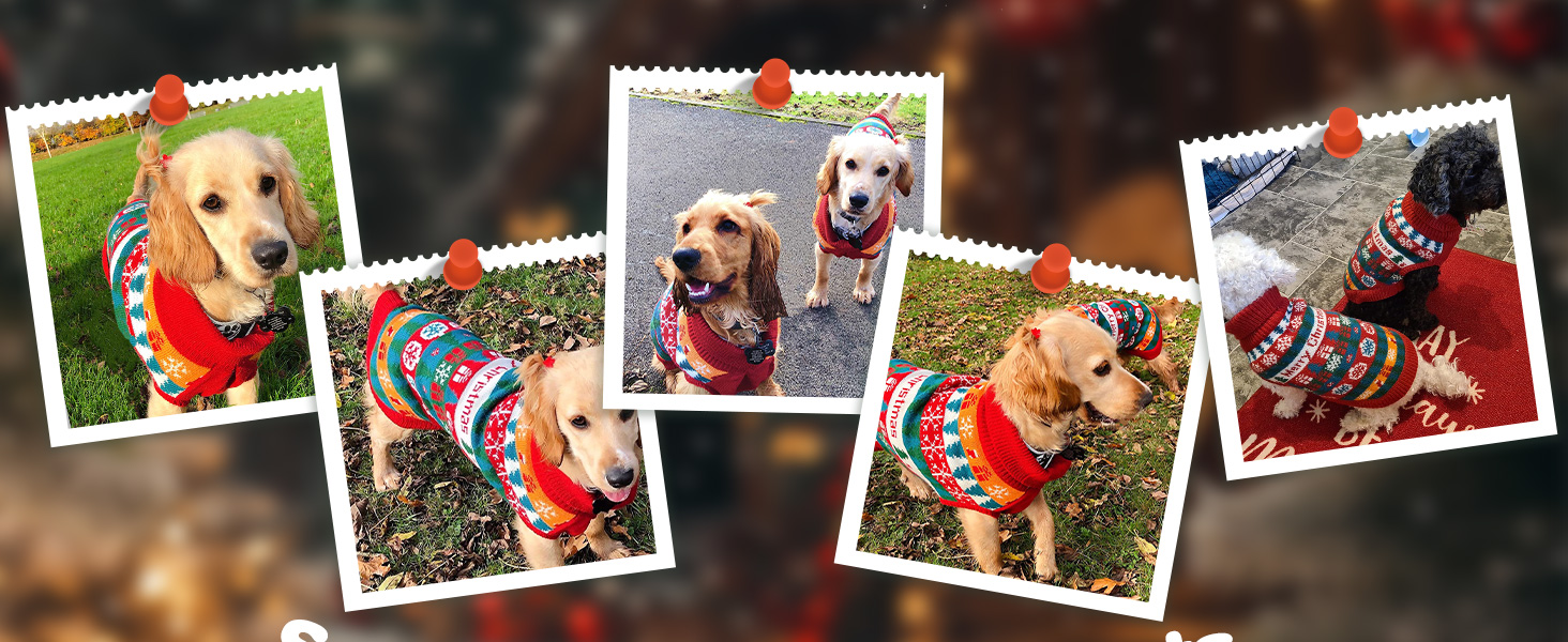 Пуловер для собак EXPAWLORER на Новий рік: теплий, модний, для маленьких, середніх та великих собак, XL X-Large