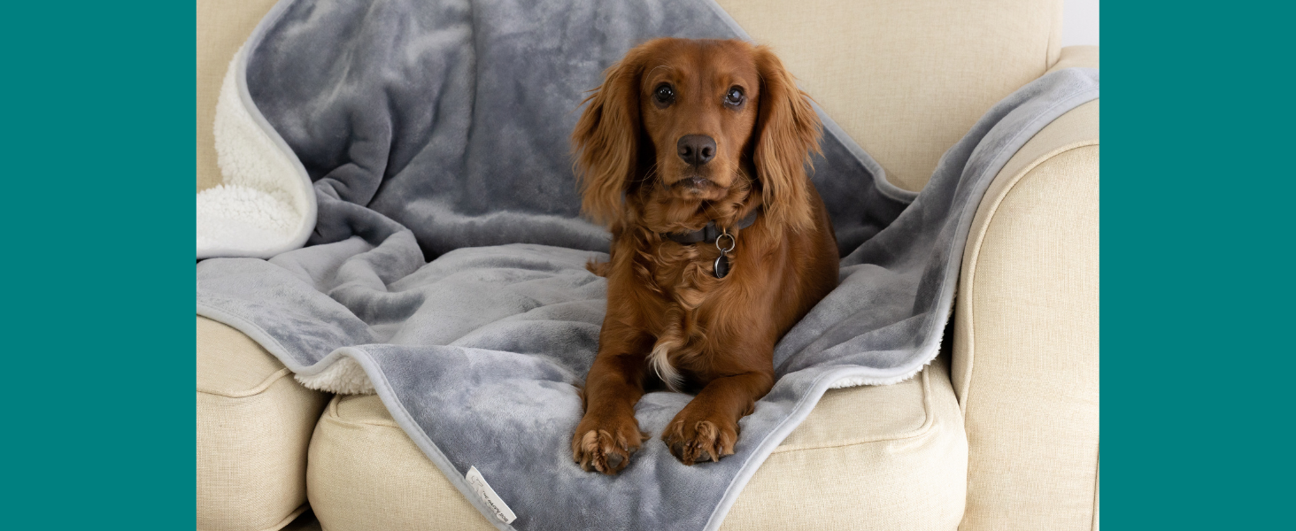 Водонепроникний коврик для собак великих порід - м'який фліс, зручний для дивана, авто, ліжка та захисту меблів, двосторонній, 100 x 120 см, сірий/сірий, фланель/шерпа