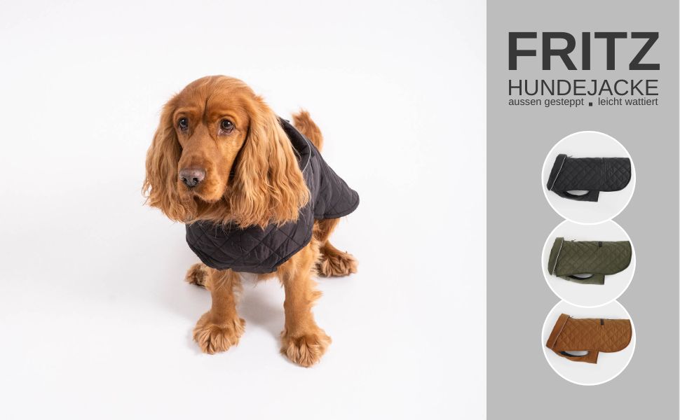 Зимовий теплий одяг для собак | Куртка для собак з захистом живота та застібкою-липучкою (S, Чорний)