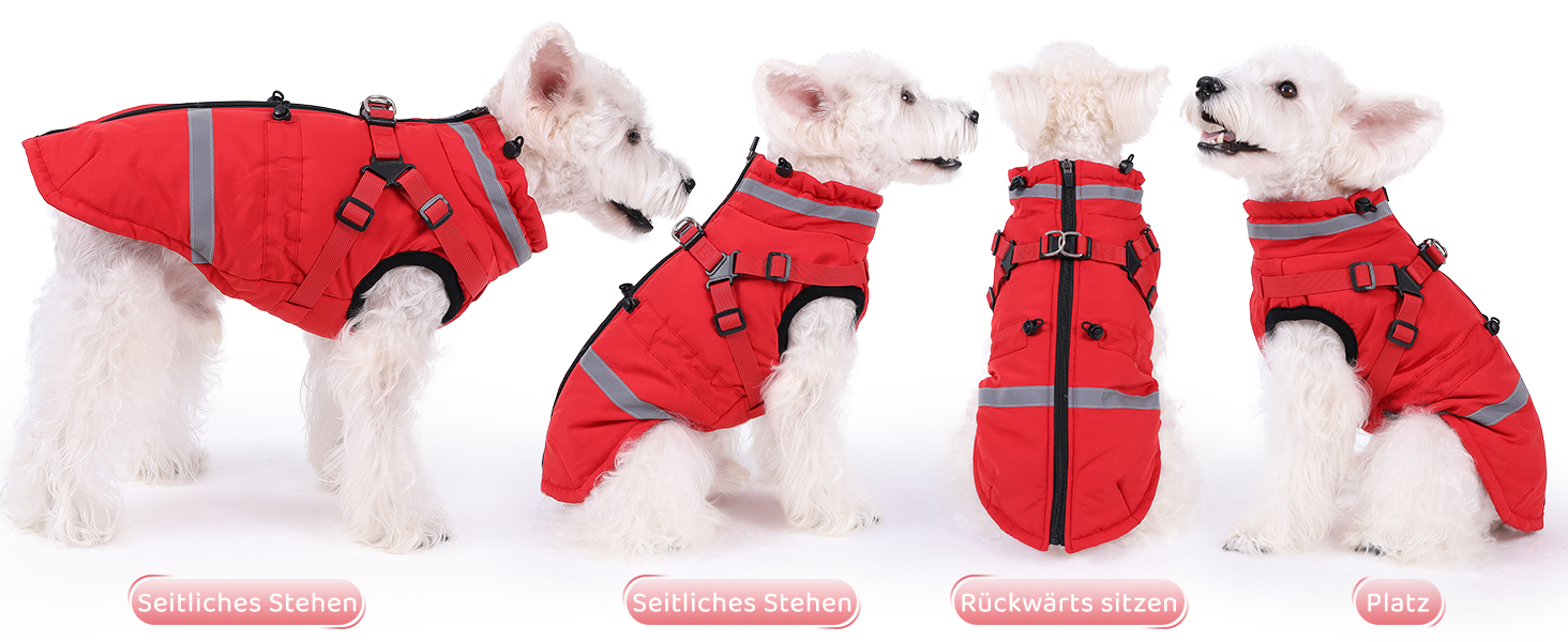 Водонепроникний зимовий костюм для собак XL, світло-блакитний: теплий, з нашийником, світловідбиваючий, на блискавці