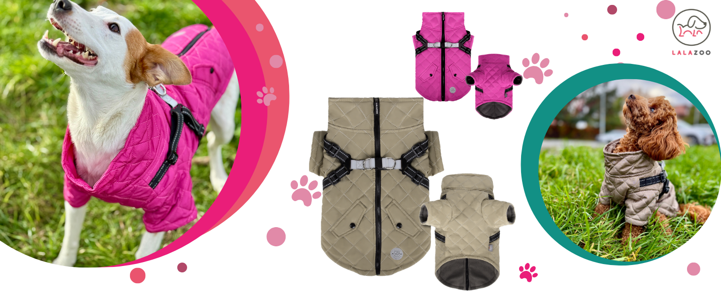 Теплий водонепроникний зимовий пуховик для собак Lalzoo LUVI 2-в-1 з інтегрованим нашийником – для маленьких та середніх собак, світлодіодна куртка, бежевий, розмір S