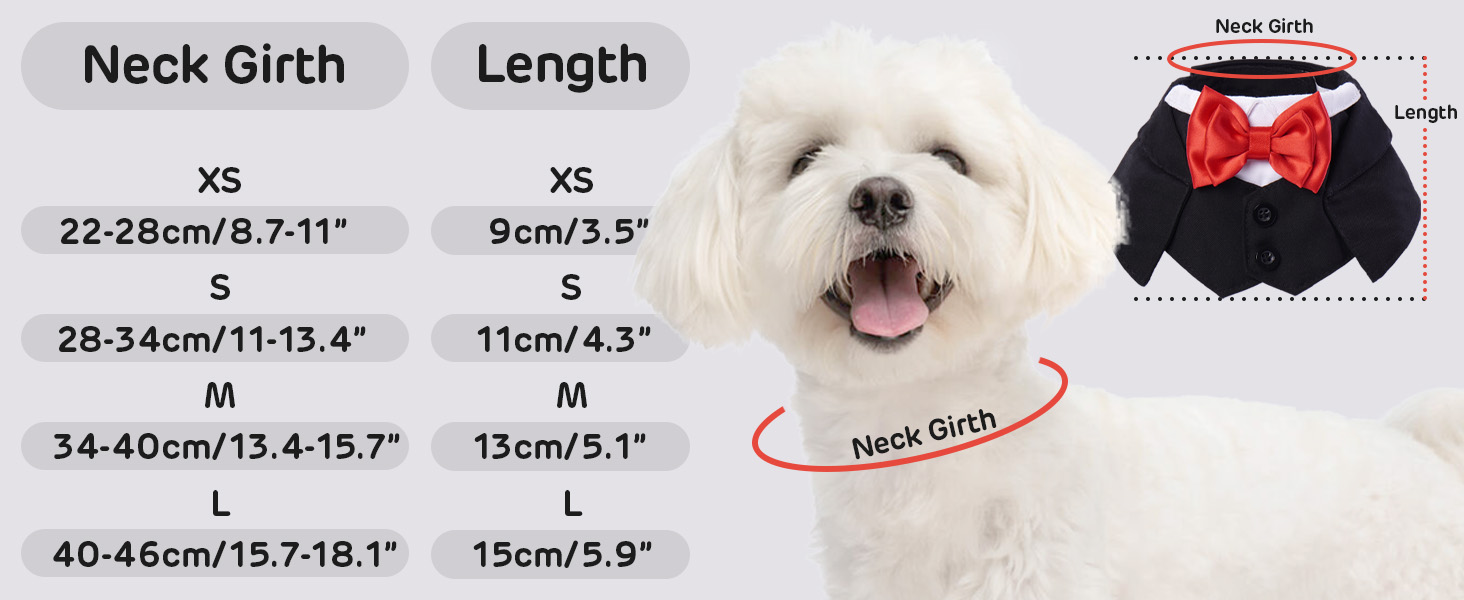 Нашийник для собак з краваткою для весілля, смокінгу, Дня святого Валентина, дня народження - костюм для собак, одяг для котів (чорний, M) M Чорний