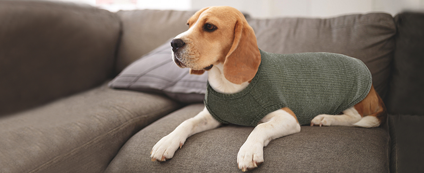 Сорочка для собак Х'юмараян, великі породи, зелена XXL: захист від сонця, еластична, для лабрадорів