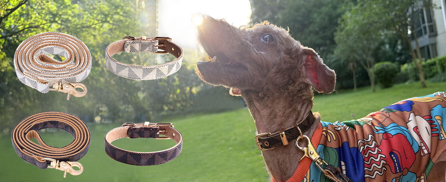 Нашийник для собак та котів Viwind з м'якої шкіри, регульований, повідковий комплект (1.5/2см), білий