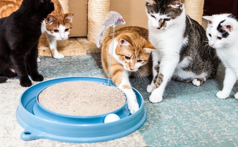 Кігтеточка для котів з м'ячиком та іграшковою мишкою - інтерактивна іграшка для кошенят, тренування та розваги. Ігровий мат для котів, синій.