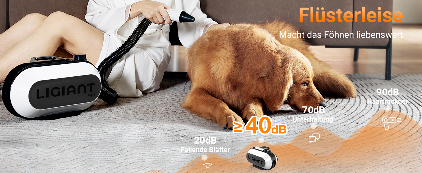 Фен для собак P40, тихий (40 дБ), 3 насадки, регулювання швидкості та температури, іонізація, портативний, для собак та котів, чорний