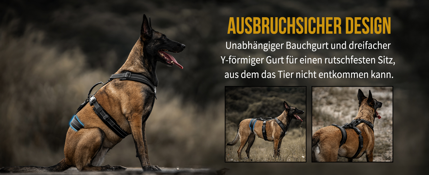 Нашийник для собак OneTigris HOUNDLOCK тактичний, чорний, M (14-27 кг)