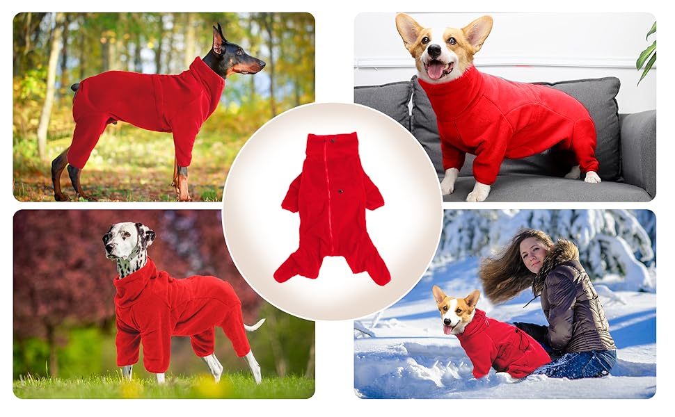 Теплий флісовий халат для собак, цільнотіла куртка на чотирьох ногах, регульований пуловер на блискавці, зимовий одяг, ідеально підходить для собак в приміщенні та на вулиці, для маленьких, середніх та (XL, блакитний)