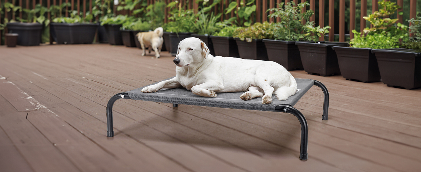 Nobleza Hundeliege Outdoor: Підвищене ліжко для собак, середній розмір, для вулиці, кемпінгу, з охолодженням, сіре, M, 105x80x20 см