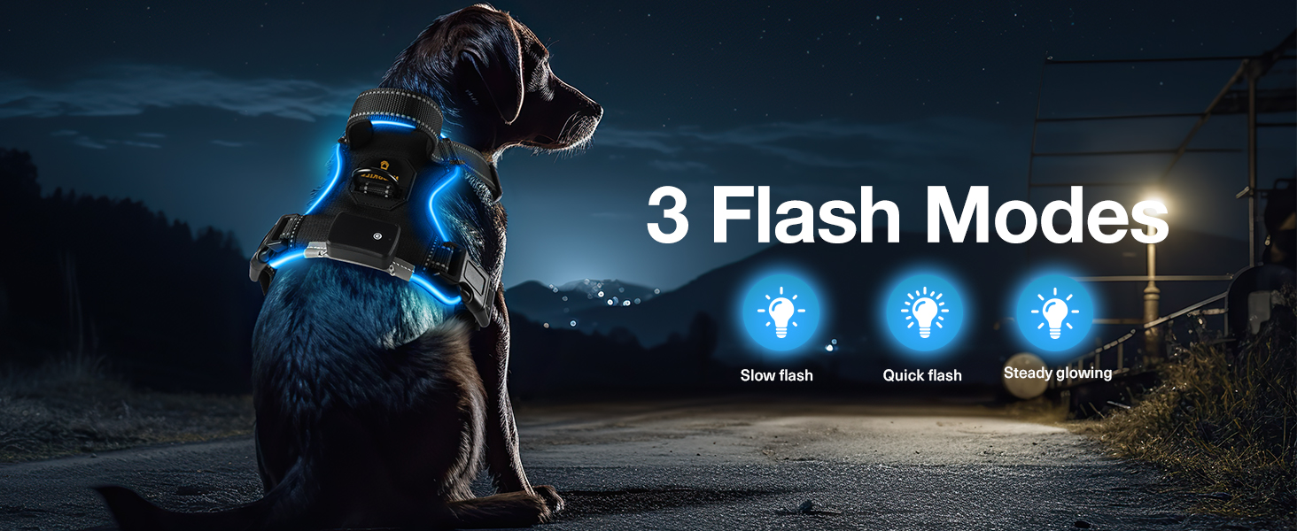 Світловідбиваючий нашийник для собак Masbrill з LED-підсвічуванням, регульований, з ручкою, м'який, для малих, середніх та великих собак (Синій L), Чорно-синій, TC3005B L Чорно-синій