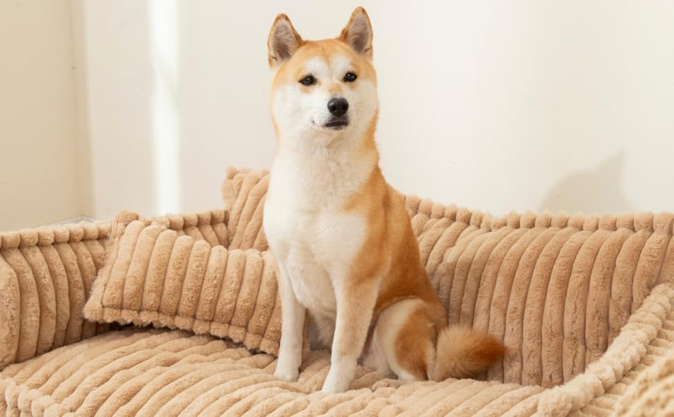 Софа для домашніх тварин Chaffar: ліжко для собак та котів з ортопедичним матрацом, сучасний стиль, матеріал - Cord, розмір XL (120 см)