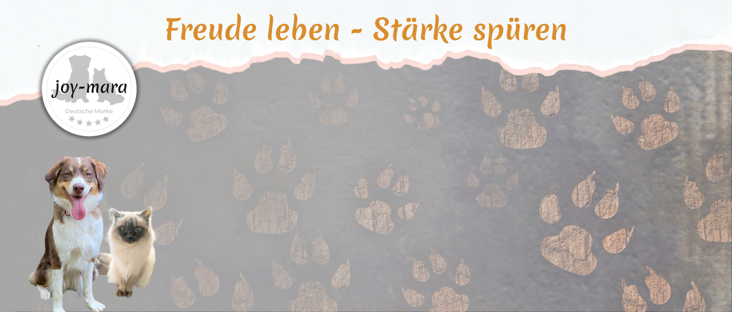 Водонепроникна сумка-пояс для собак - сумка для ласощів, сумка для тренувань, сумка для прогулянок з тримачем для пляшки, сумка для корму з дозатором для відходів, бордово-червона