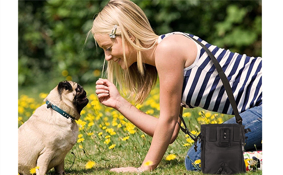 Сумка для корму для собак Tnfeeon, сумка для зберігання дрібних речей, переноска іграшок для тварин